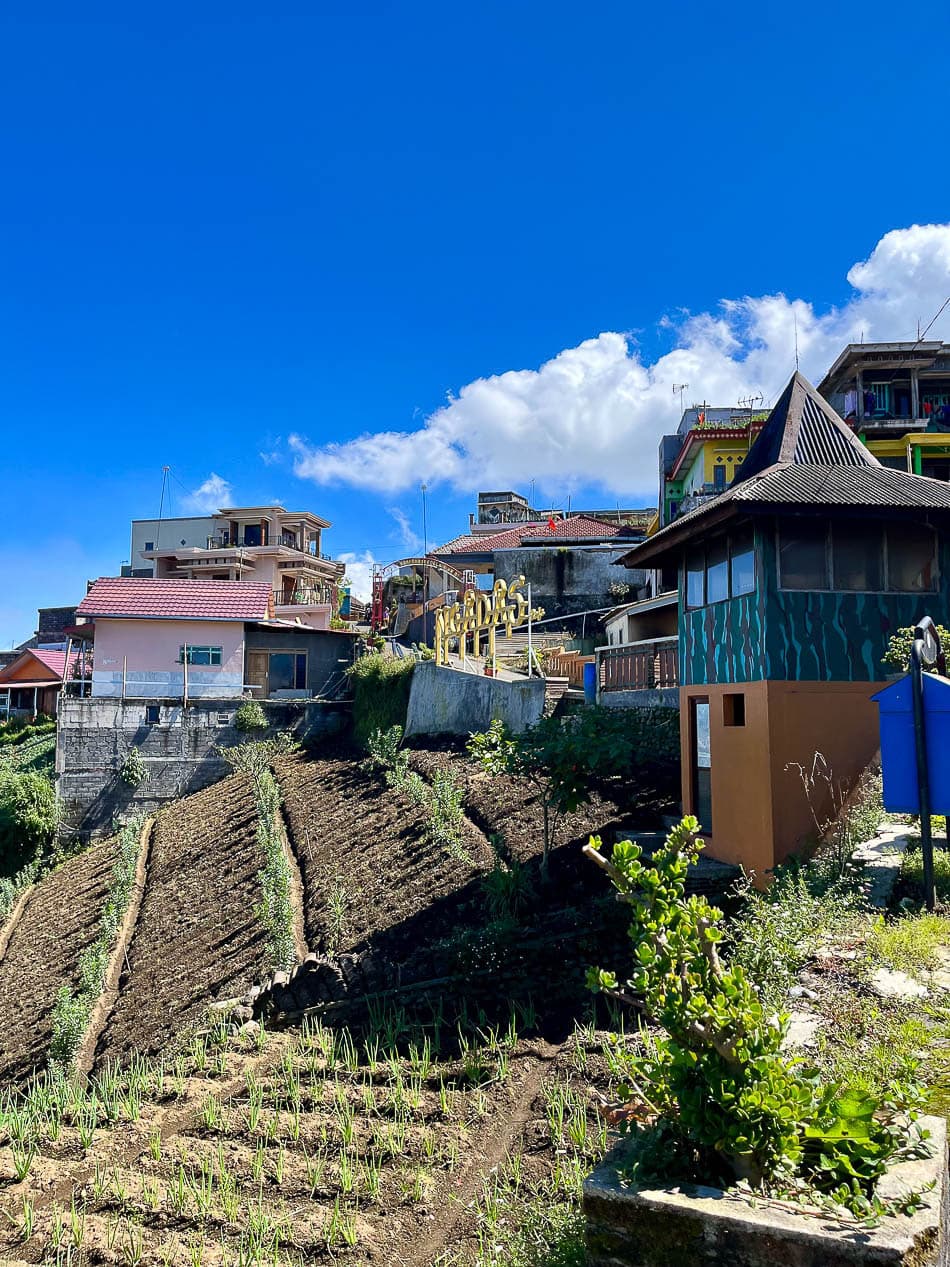 Image00013 Selectie Eveline Eveline Claes W950 ID5JBA Eveline Claes W950