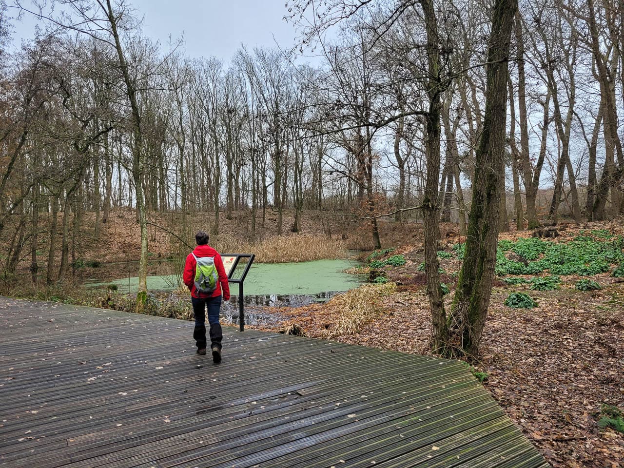 20231216 110156 Caja GR W1280