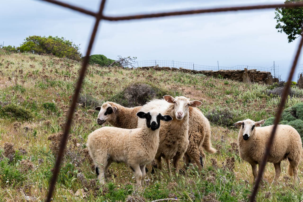 Selectie DSC 0302 Wim Hubaux