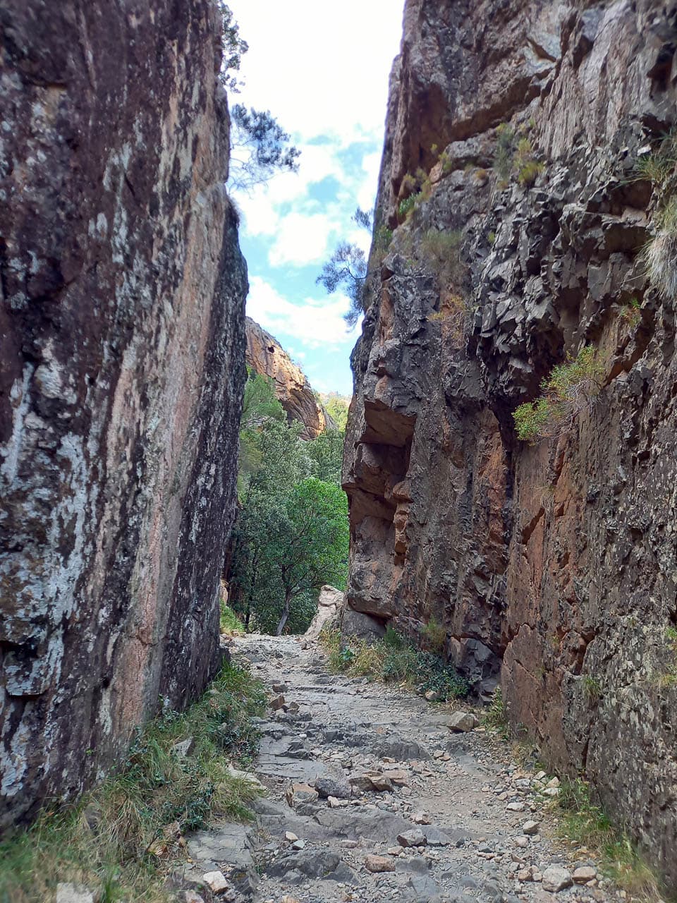 FR5COD 20230912 105837 Marie Paule Cluyts