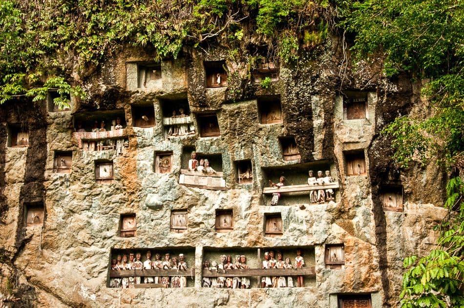 Java-Bali-Sulawesi-10-Stefaan-Moens-DSC_0083b_export_w950