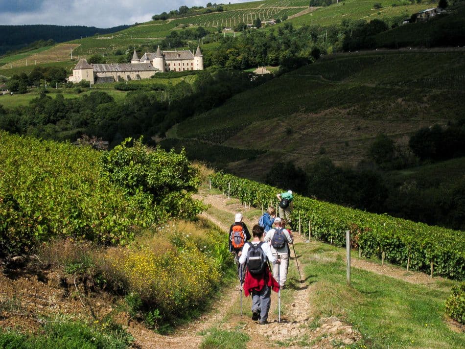 Beaujolais-Johan-Vandueren-IMG_1147_export_w950