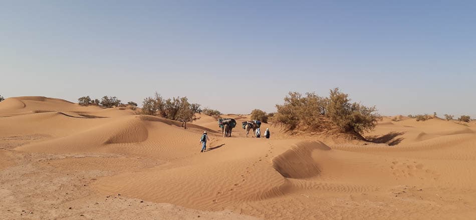 20240211 161150 Selectie Voor Rouwreis W950