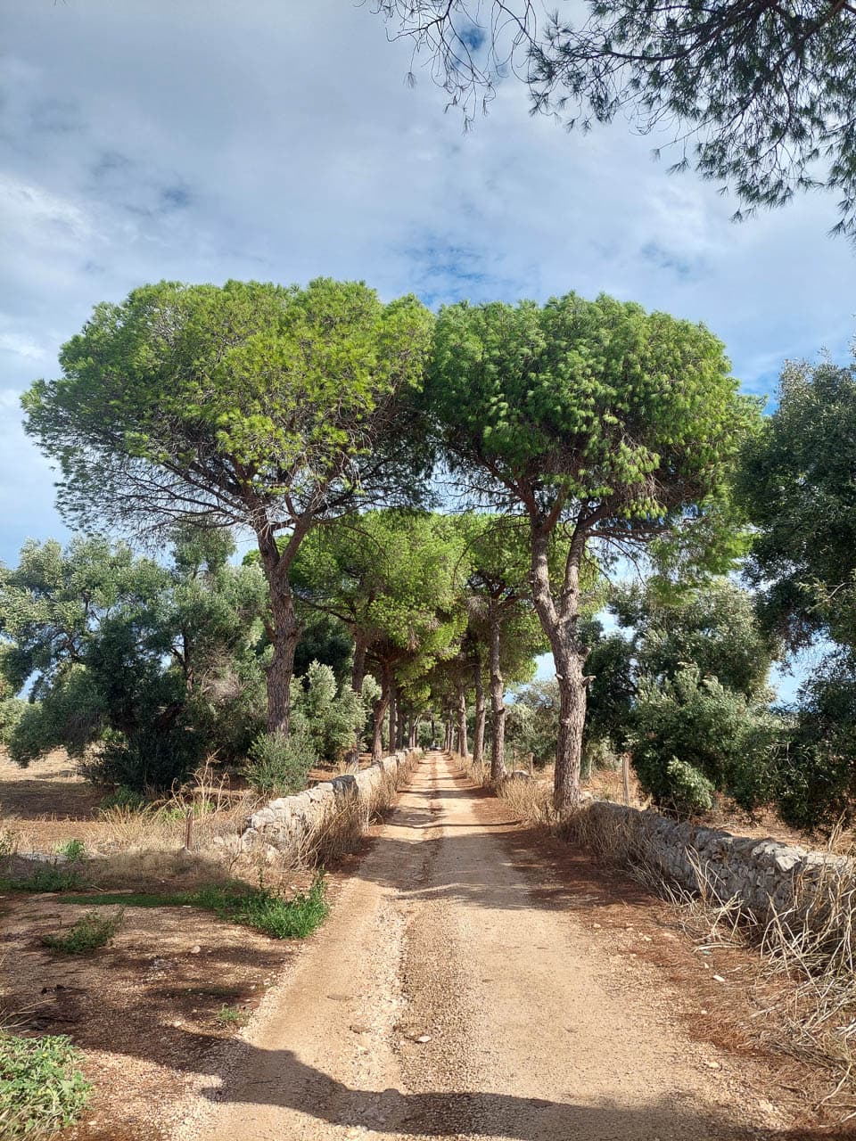 Selectie 20251005 105659