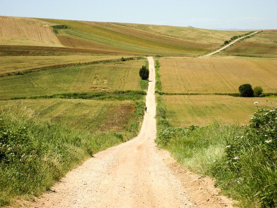 Santiago-J_Najera_Santo-Domingo-de-Calzada_05-Lindsey-Pinnock_export_w950