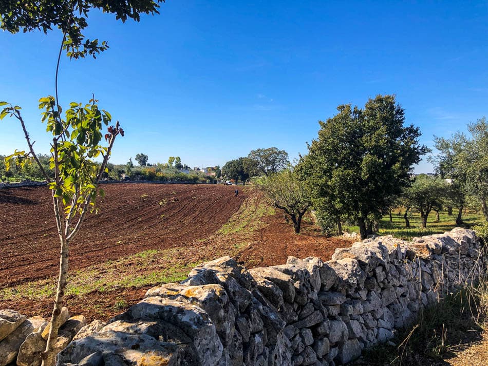 Zicht Platteland Foto's Gina Gina Swartenbroekx W950