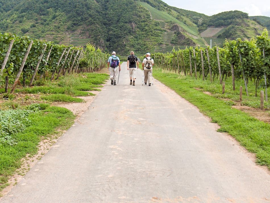 Moezel-Francois-Elsen-Afbeelding-002_export_w950