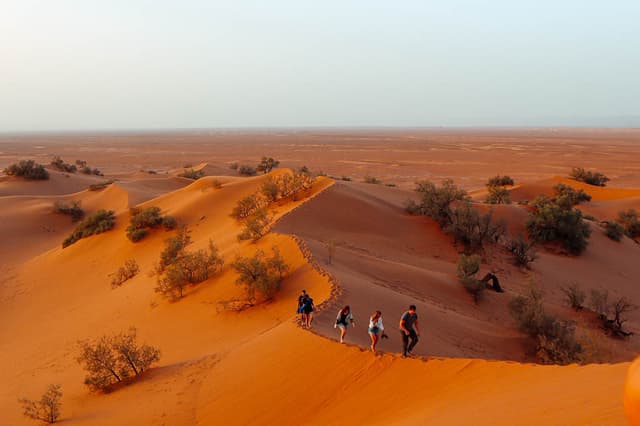 Elke Stock 3 MA5CHB Elke Stock W950