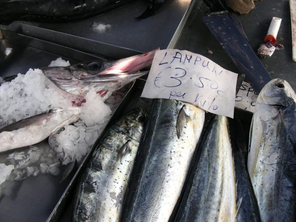 Malta-Jan-Lauwers-08-Malta-en-Gozo-481_export