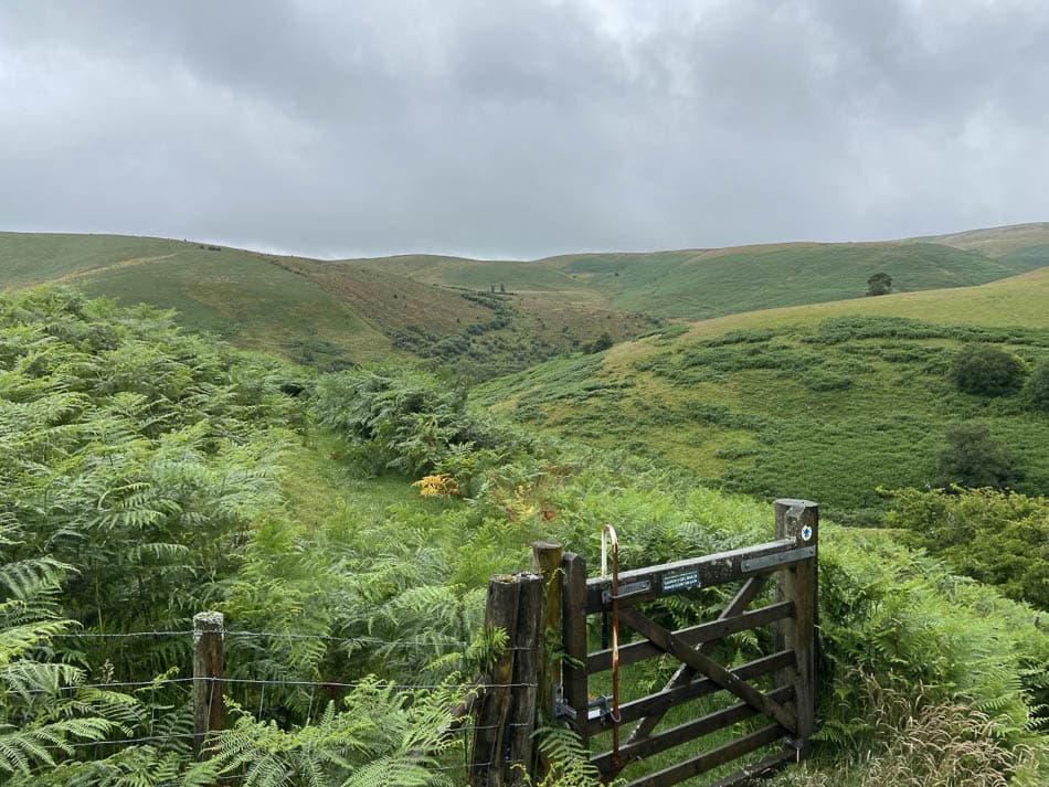 Thumbnail IMG 5168 Joke Van Aelst W950