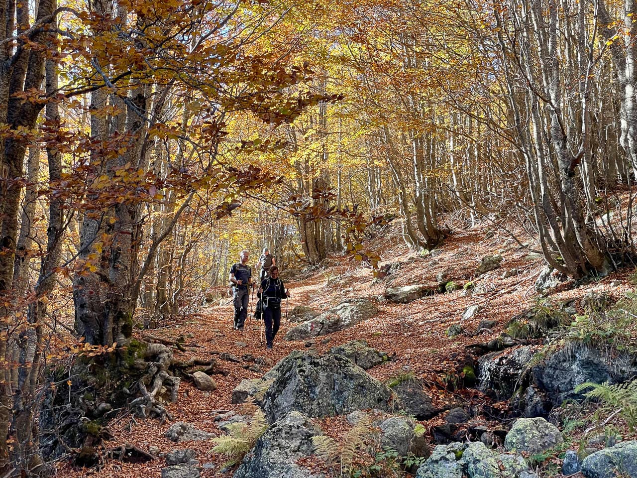 IMG 1409 Selectie Ruud Peten W1280