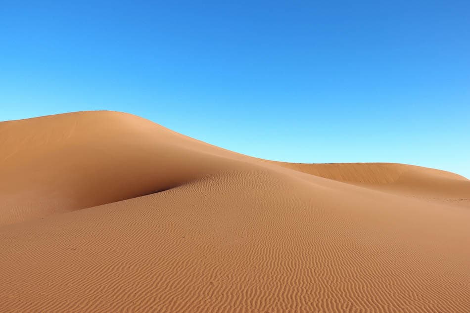 Sahara (155) Arne Vanwijnsberghe Arne Vanwijnsberghe W950