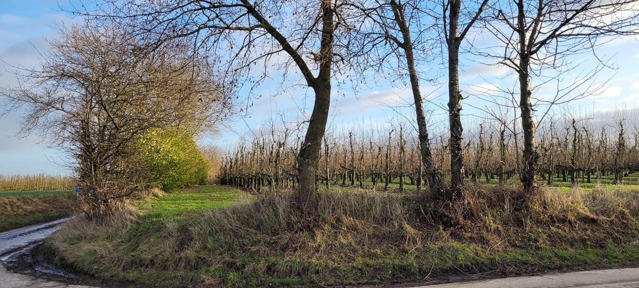 20250128 091836 BE5FHA Grote Routepaden W1280