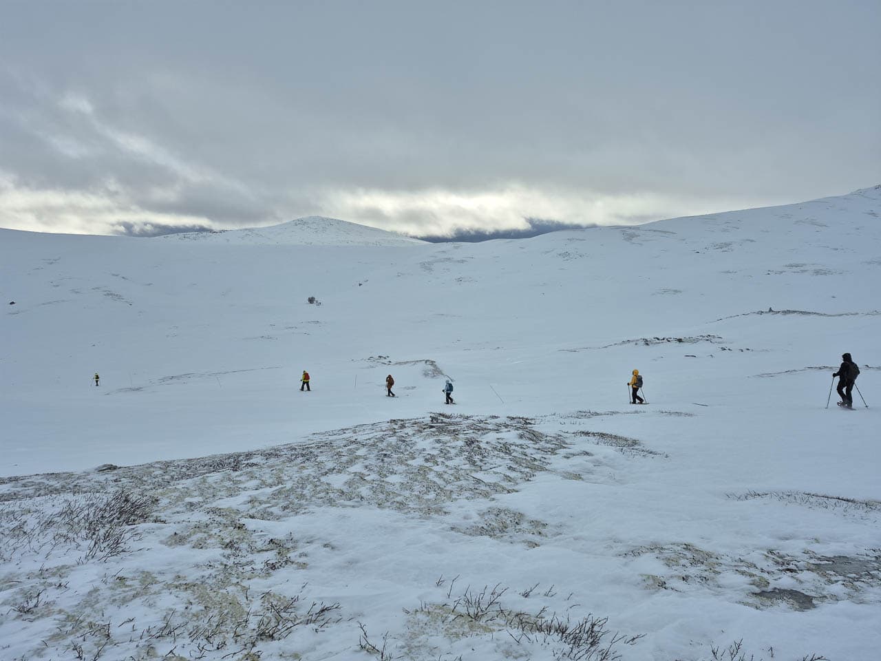 Selectie 20250315 150018 Edwin Vriesema