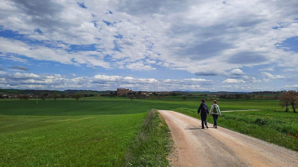 20220423_133314_resized_Nele van de Putte_w950