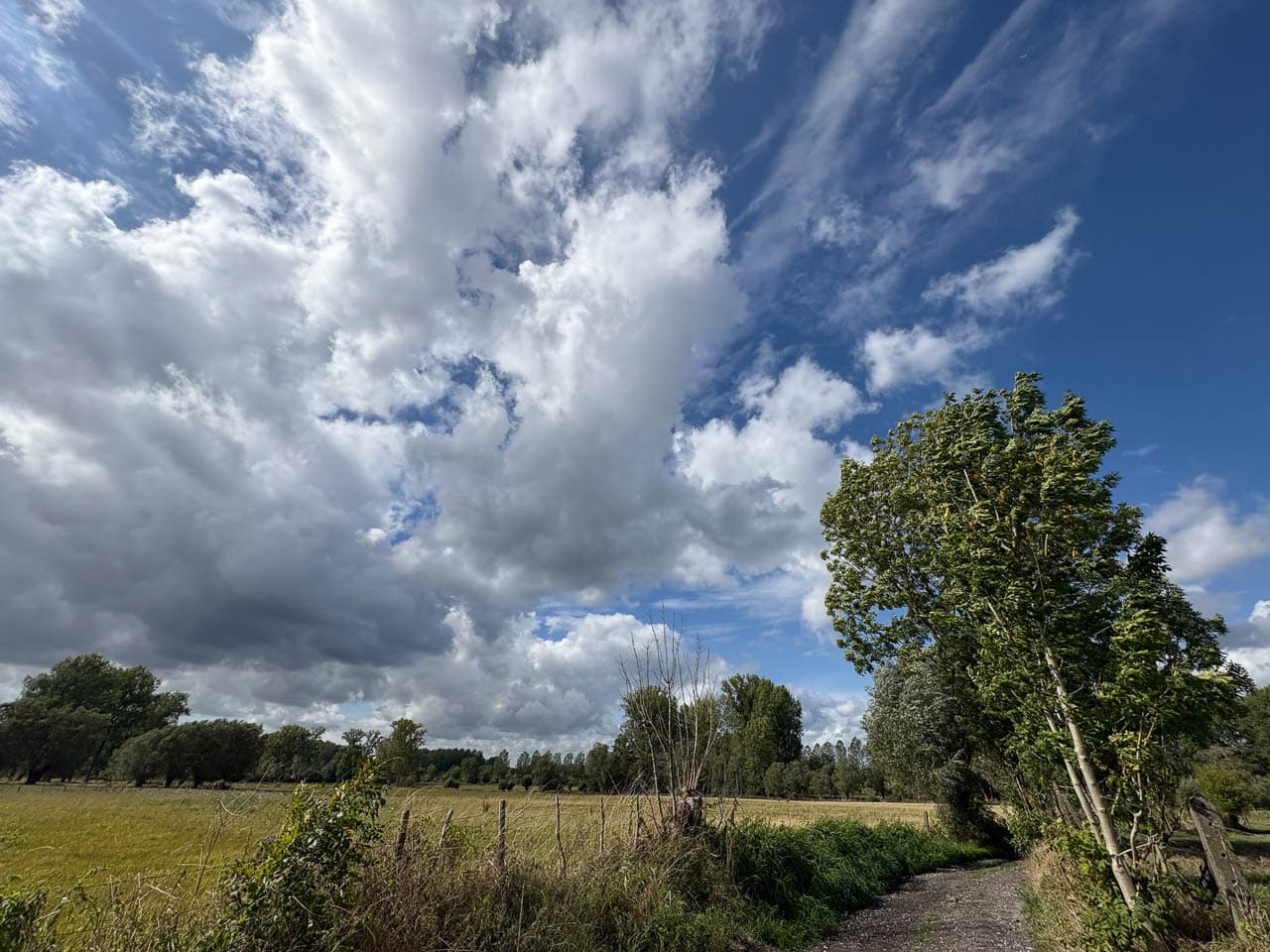 BE5PJA Image00008 Margot Pappijn