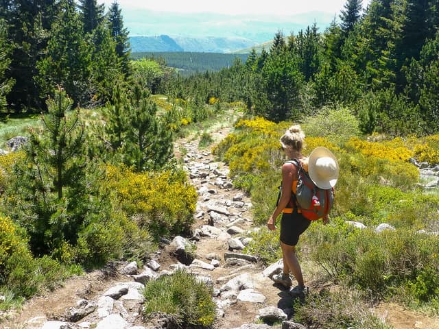 F009 STV 14 JP 00662_export_w950