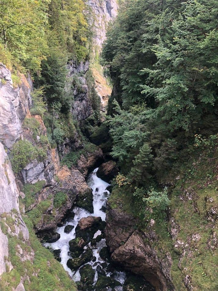 IMG-20210918-WA0085_Chantal Simons_w950