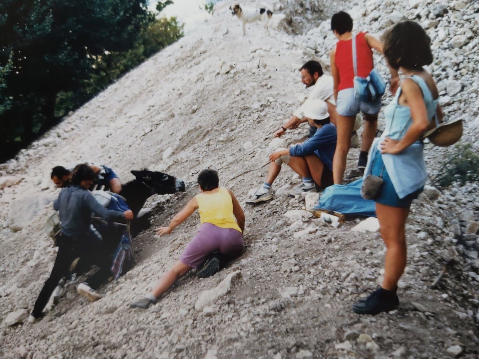 Foto 3 Ezel Terug Naar Boven Krijgen
