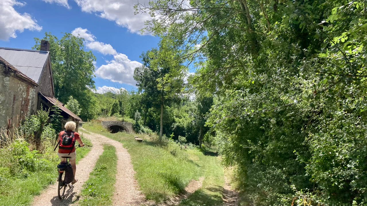 FR5CHA IMG 6509 Ann Tilley