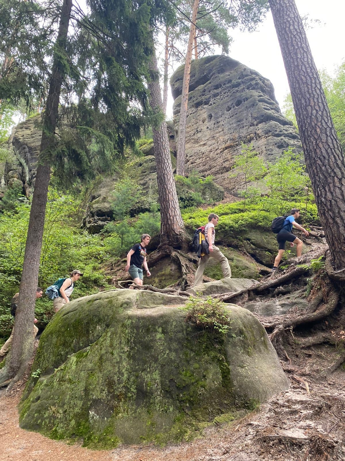IMG 0573