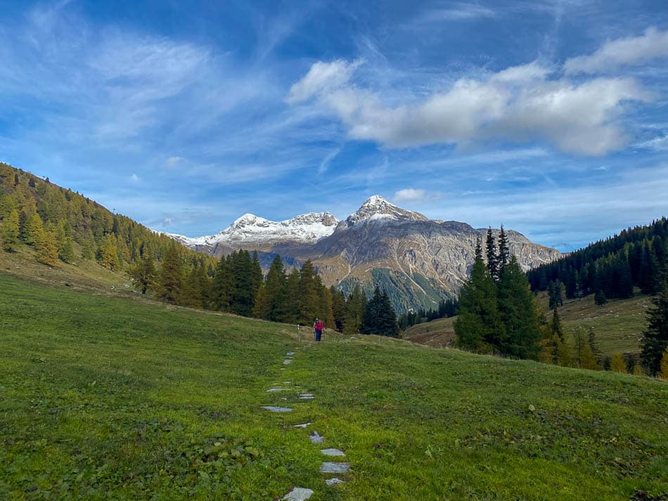 IMG 1478 Selectie Melissa Scialpi W950