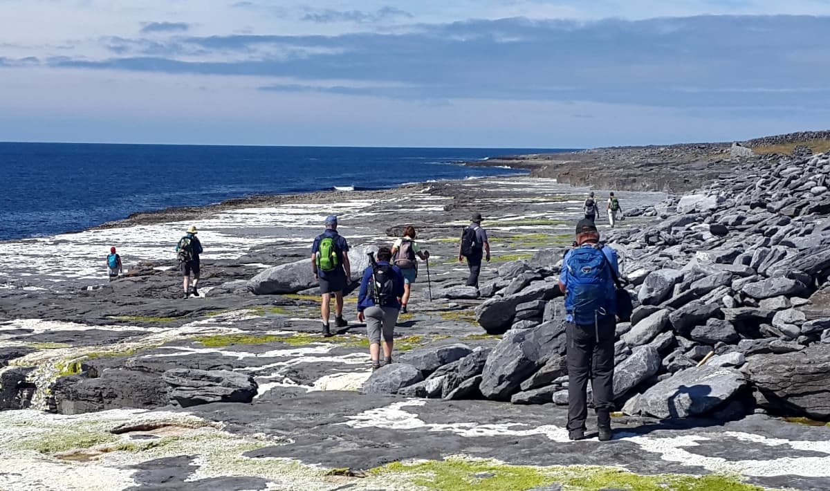 20180710 110231 Export