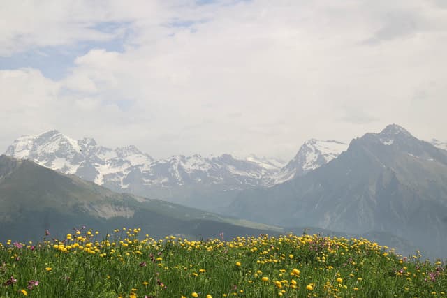 Jan Van Brabant IMG 0864 Jan Van Brabant