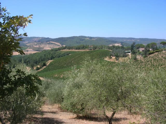 Chianti-13-Vicky-Quintens-DSCN4525