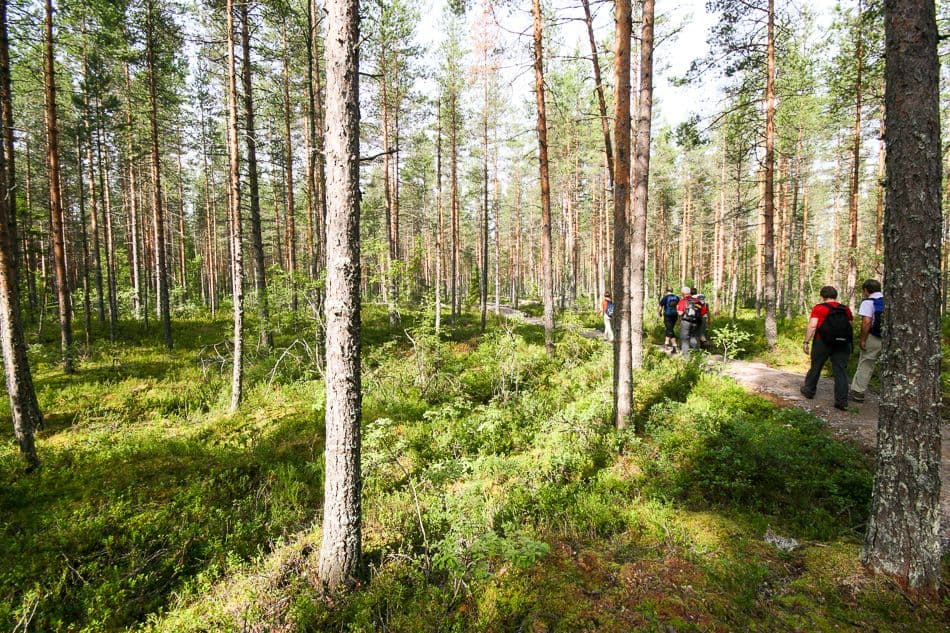 Finland-08-Rudy-De-Maeyer-IMG_5123_export_w950