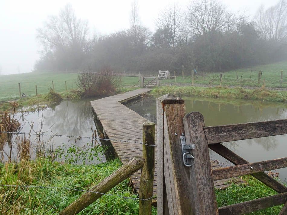 DSC00929_Johan Van Malderen_w950