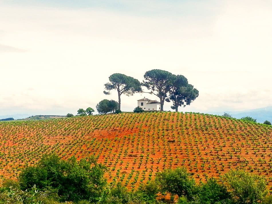 20130610_153209Camino_2013_43-Kevin-Maes_export_w950