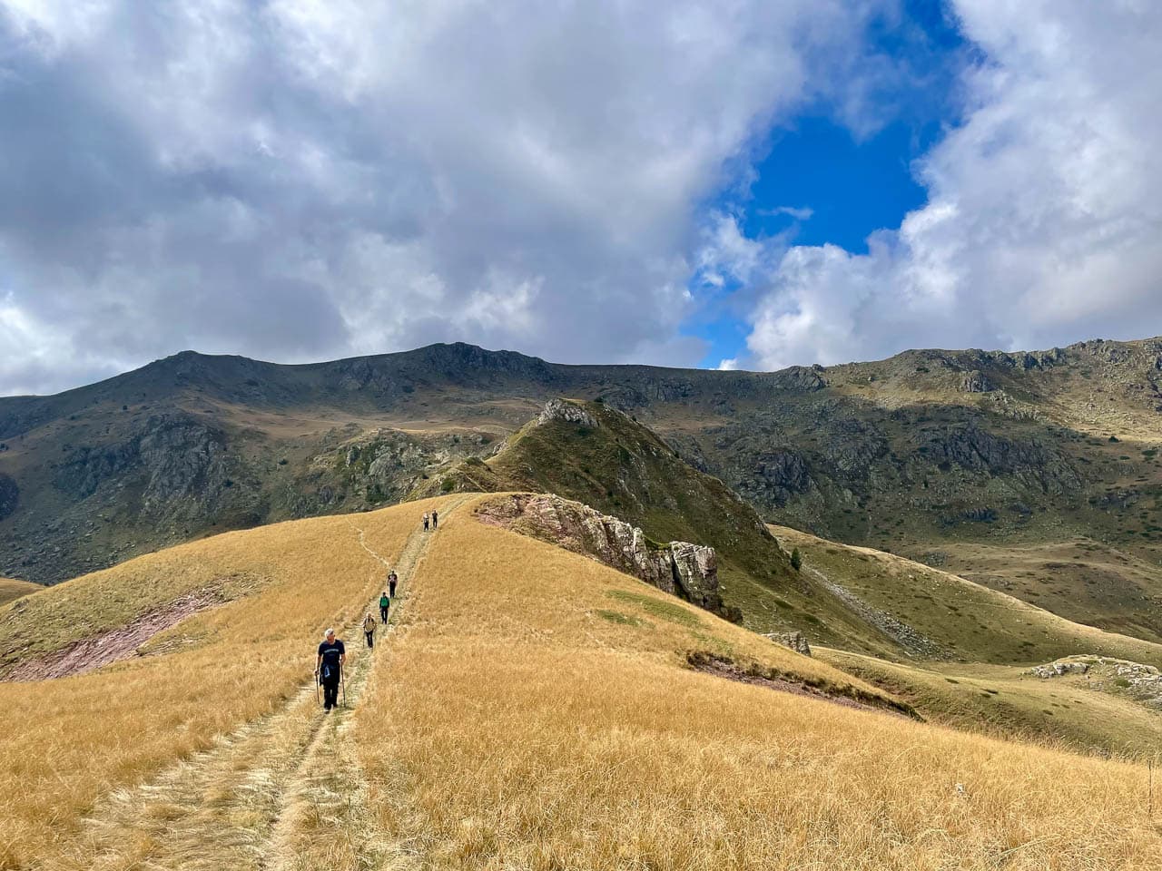 IMG 1331 Selectie Ruud Peten W1280