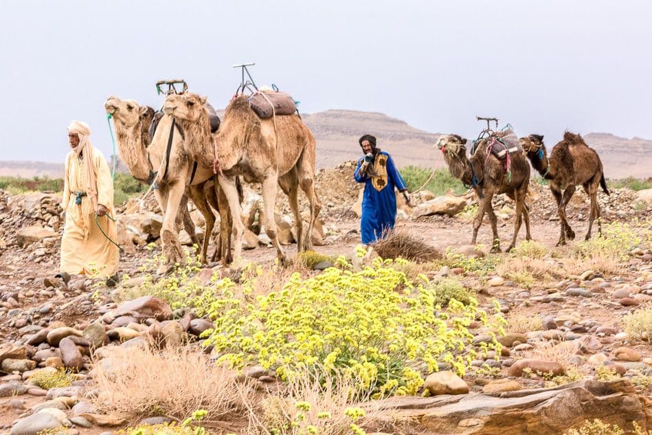 Fotos-Marokko-202-IMG_2767_export_w950