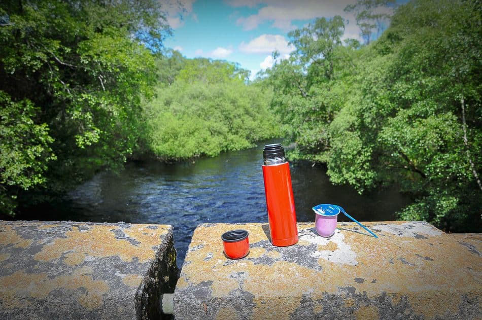 DSC_9542_export_w950 (2)