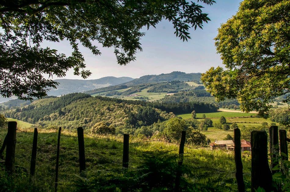 Beaujolais-13-Maxime-Jocque-DSC_2405-2_export_w950