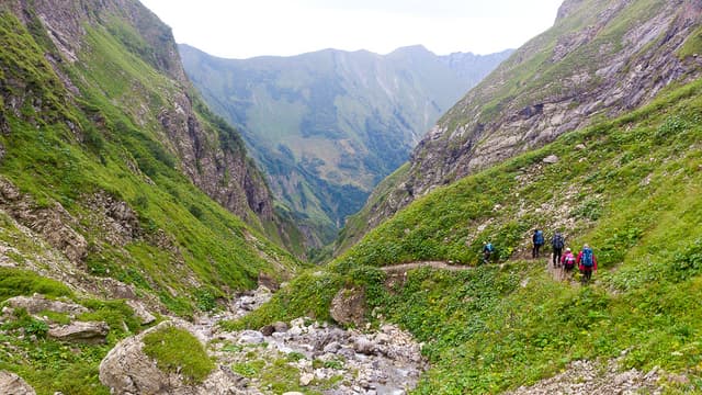 DSC 0810 Export W950