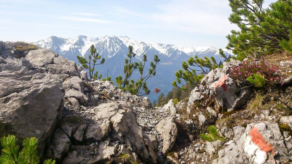 DSC_0872_export_export_w950