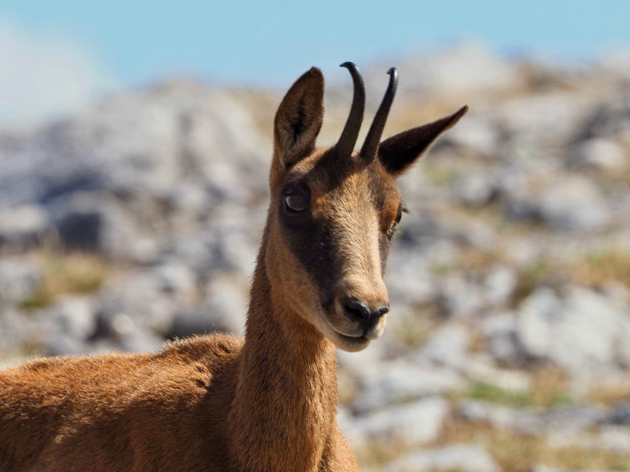 Selectie P9143809 Tom De Borger