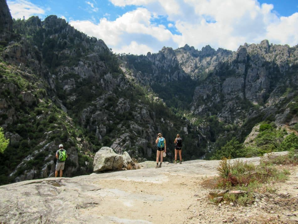 IMG_0106_export_w950