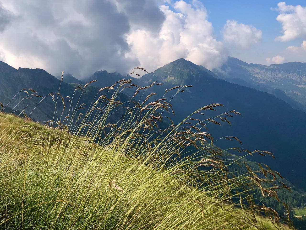 Valle Del Lys Anneke Dekker IMG 4919 Anneke Dekker