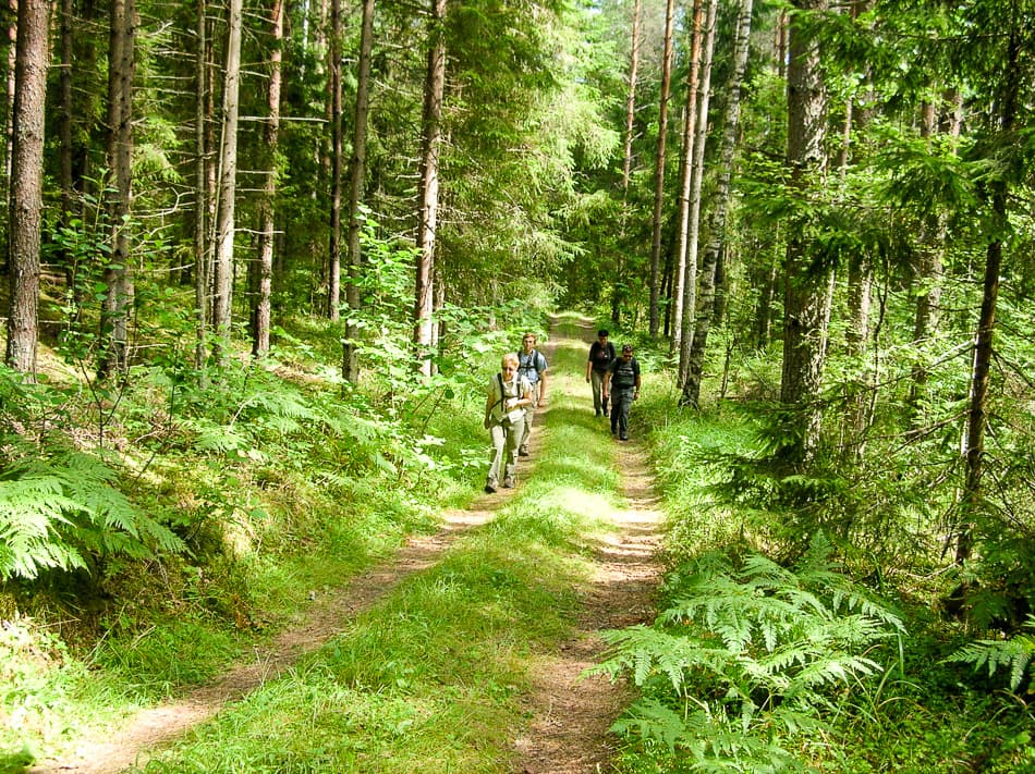 Estland Francis Van Herck AR ESTLAND 2009 222 Export W950