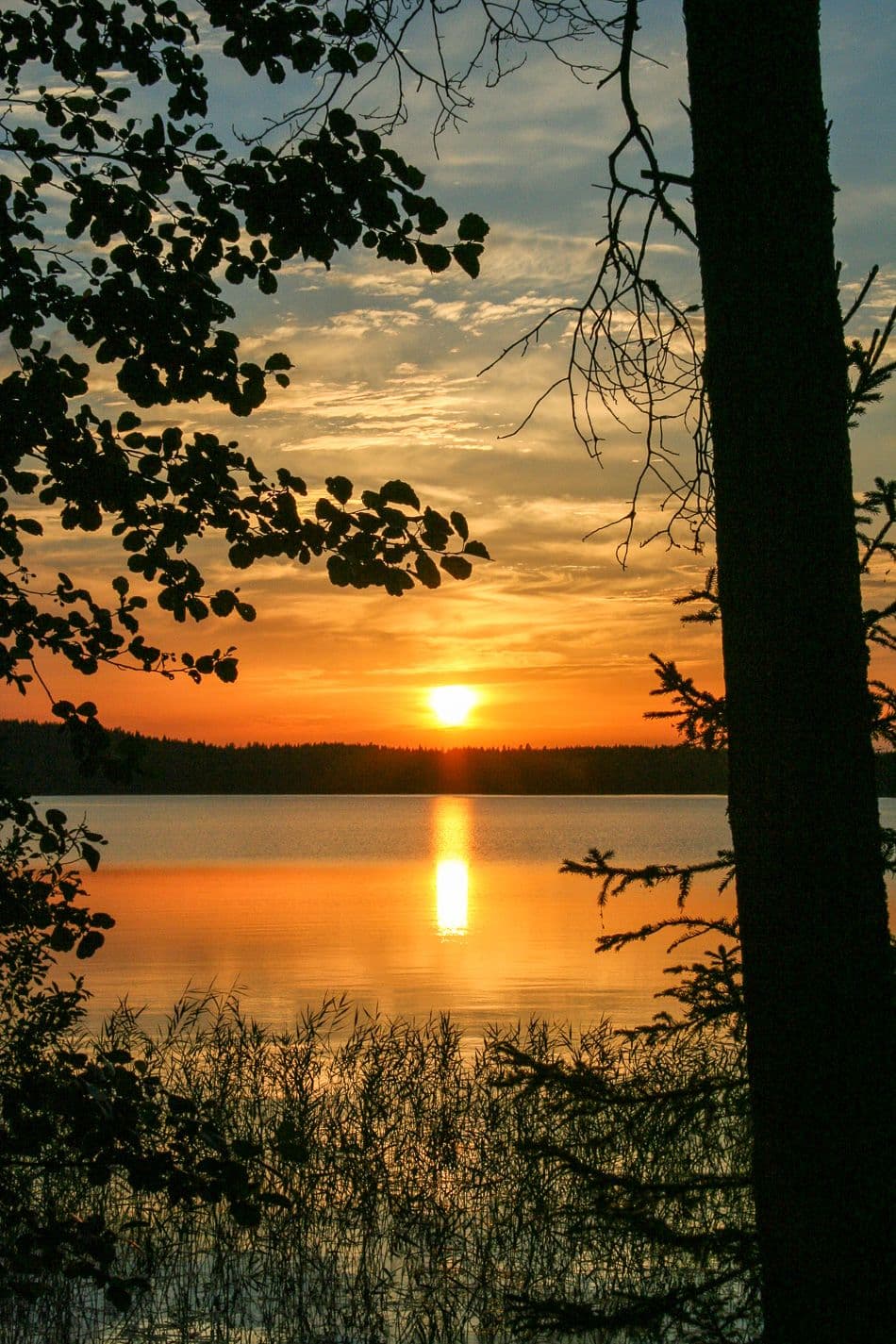 Finland-2010-375-Sigrid-De-Maeseneer_export_w950