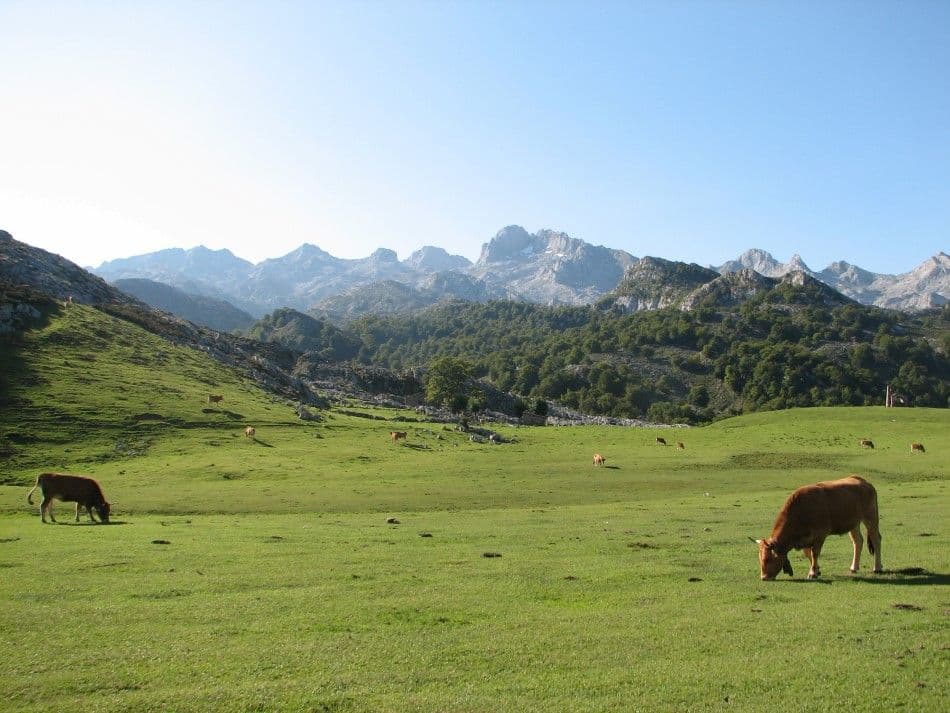 Picos-09-Peter-Keppens-IMG_9730-Custom