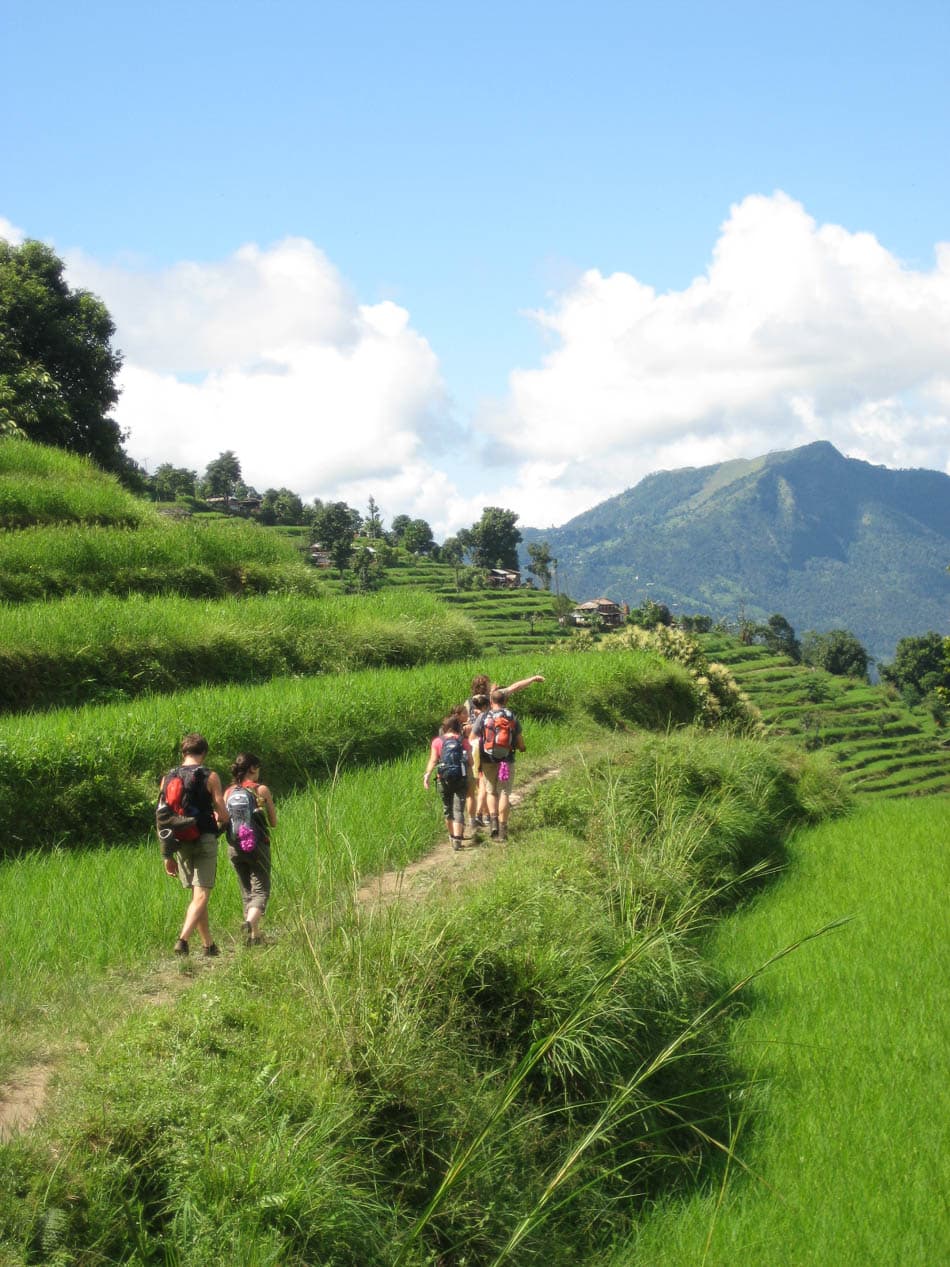 Rn478 NP5FMA Yves Cams W950