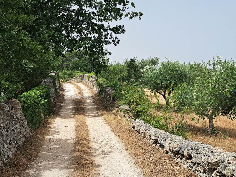 20240620 103555 AVE 6116 Selectie Ann Verhetsel W950