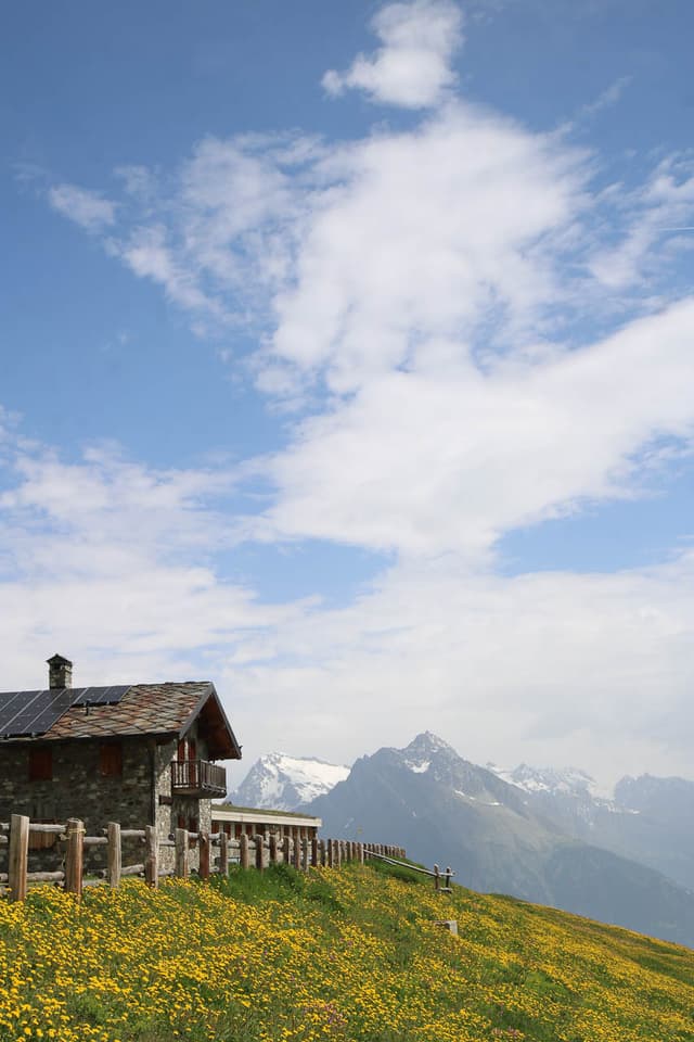 Jan Van Brabant IMG 0878 Jan Van Brabant