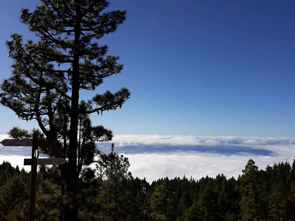 20191219 150717 Te Verwerken Maarten Caversoons W950