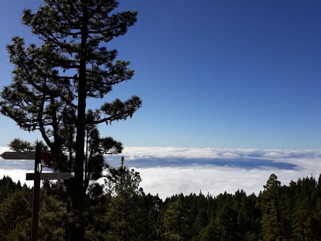 20191219 150717 Te Verwerken Maarten Caversoons W950