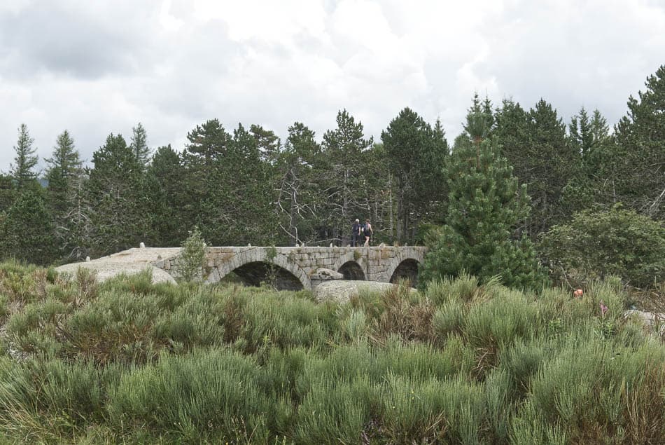 Leen Jansen DSCF4925 Leen Jansen Leen Jansen W950